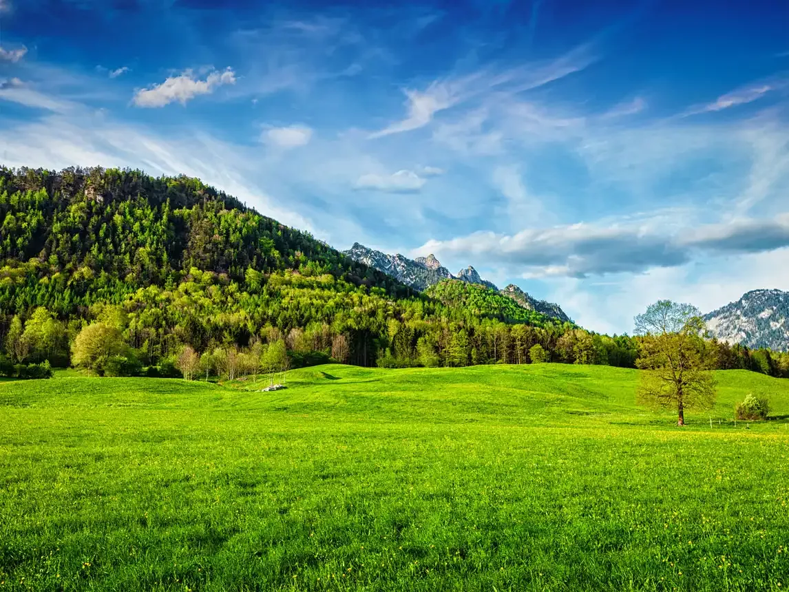 Alpine meadow in bavaria german