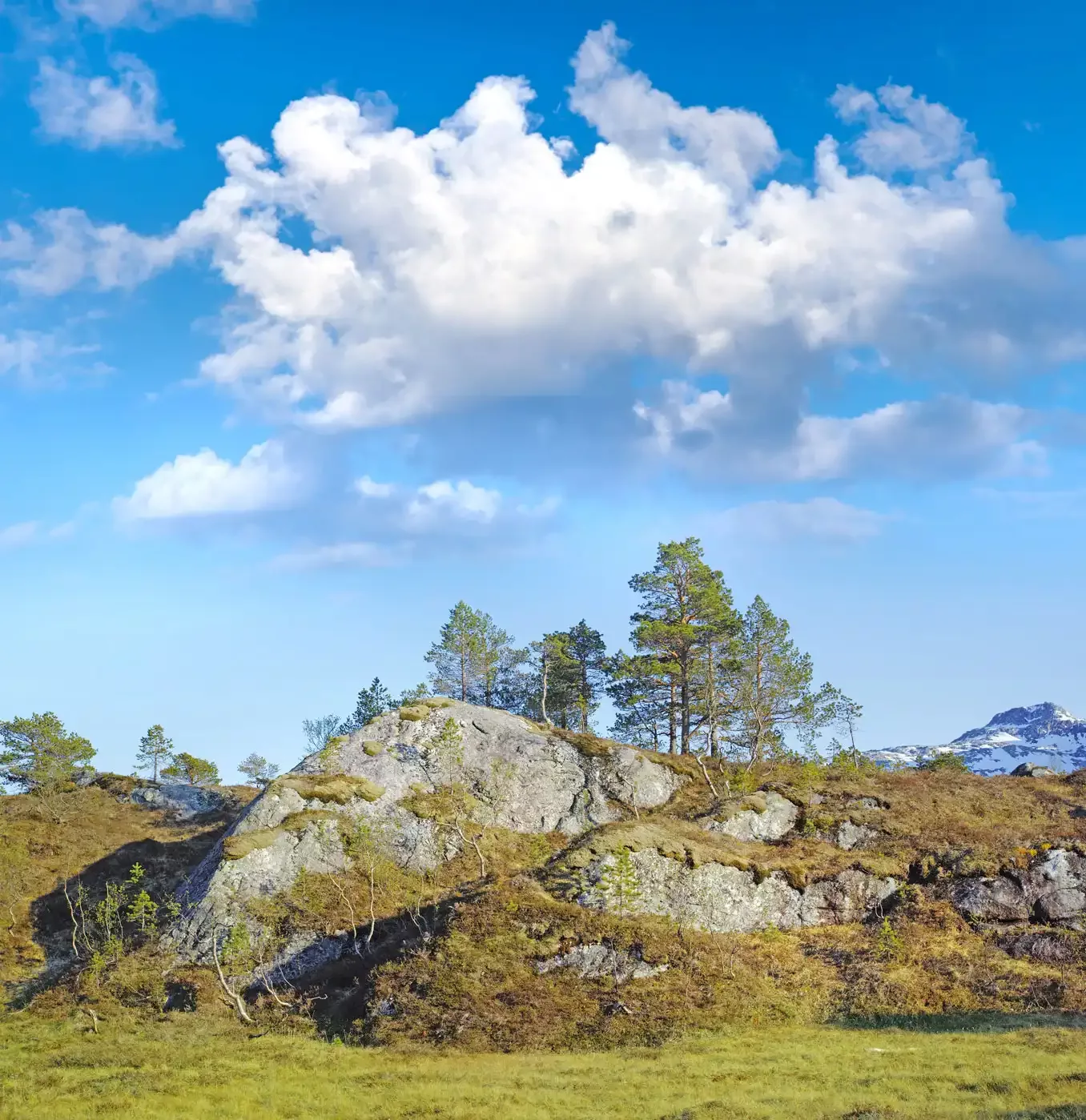 Summertime in norway